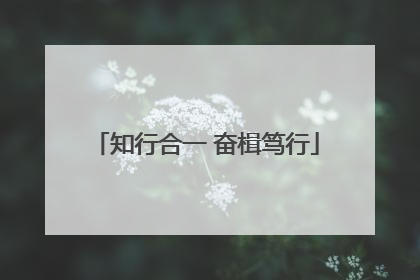 知行合一 奋楫笃行