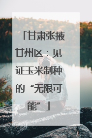 甘肃张掖甘州区：见证玉米制种的“无限可能”