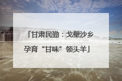 甘肃民勤：戈壁沙乡孕育“甘味”领头羊