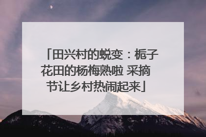 田兴村的蜕变：栀子花田的杨梅熟啦 采摘节让乡村热闹起来
