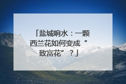 盐城响水：一颗西兰花如何变成“致富花”？
