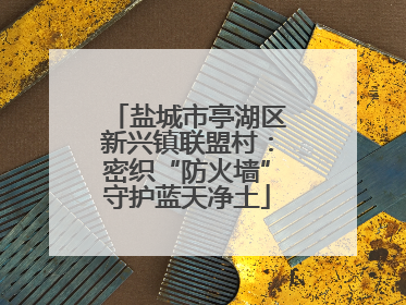 盐城市亭湖区新兴镇联盟村：密织“防火墙”守护蓝天净土