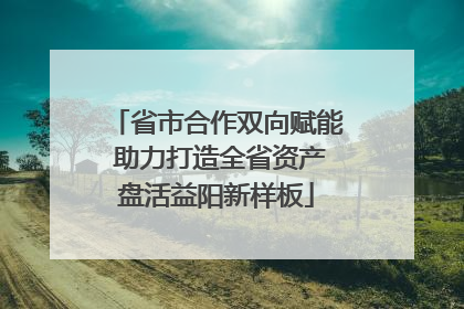 省市合作双向赋能 助力打造全省资产盘活益阳新样板