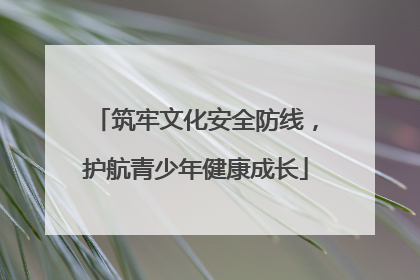 筑牢文化安全防线，护航青少年健康成长