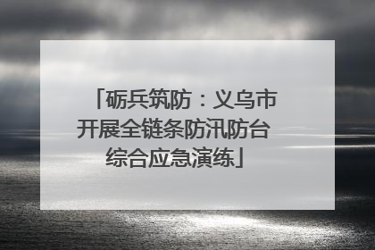 砺兵筑防：义乌市开展全链条防汛防台综合应急演练