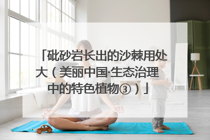 砒砂岩长出的沙棘用处大（美丽中国·生态治理中的特色植物③）