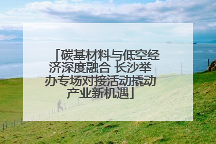 碳基材料与低空经济深度融合 长沙举办专场对接活动撬动产业新机遇