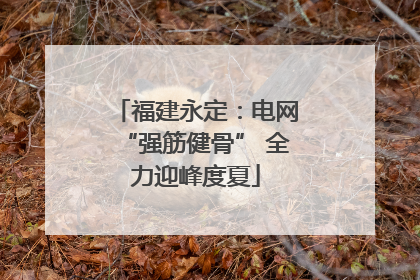福建永定：电网“强筋健骨” 全力迎峰度夏