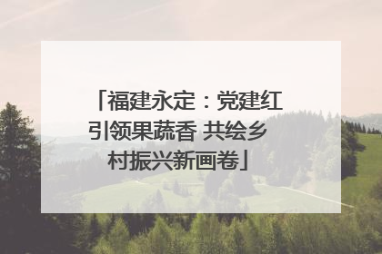 福建永定：党建红引领果蔬香 共绘乡村振兴新画卷