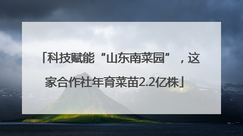 科技赋能“山东南菜园”，这家合作社年育菜苗2.2亿株