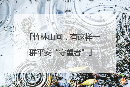 竹林山间，有这样一群平安“守望者”