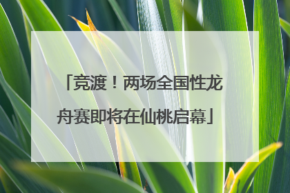 竞渡！两场全国性龙舟赛即将在仙桃启幕