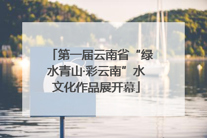 第一届云南省“绿水青山·彩云南”水文化作品展开幕