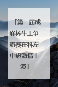 第二届成峰杯牛王争霸赛在科左中旗激情上演