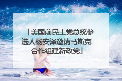 美国前民主党总统参选人杨安泽邀请马斯克合作组建新政党