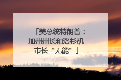 美总统特朗普：加州州长和洛杉矶市长“无能”