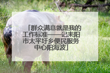 群众满意就是我的工作标准——记耒阳市太平圩乡便民服务中心阳海波
