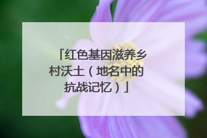 红色基因滋养乡村沃土（地名中的抗战记忆）