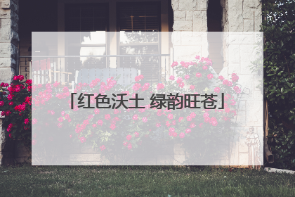红色沃土 绿韵旺苍