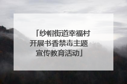 纱帽街道幸福村开展书香禁毒主题宣传教育活动