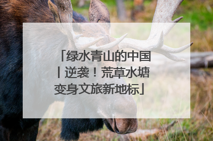 绿水青山的中国丨逆袭！荒草水塘变身文旅新地标