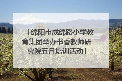 绵阳市成绵路小学教育集团举办书香教师研究院五月培训活动