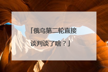 俄乌第二轮直接谈判谈了啥？