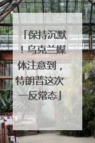 保持沉默！乌克兰媒体注意到，特朗普这次一反常态