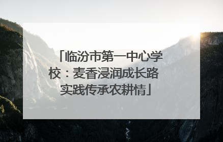 临汾市第一中心学校：麦香浸润成长路 实践传承农耕情