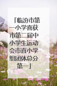 临汾市第一小学喜获市第二届中小学生运动会市直小学组团体总分第一