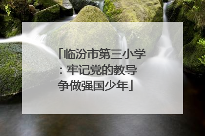 临汾市第三小学：牢记党的教导 争做强国少年