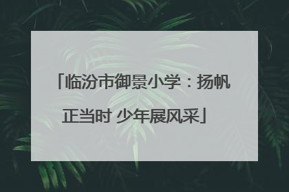 临汾市御景小学：扬帆正当时 少年展风采
