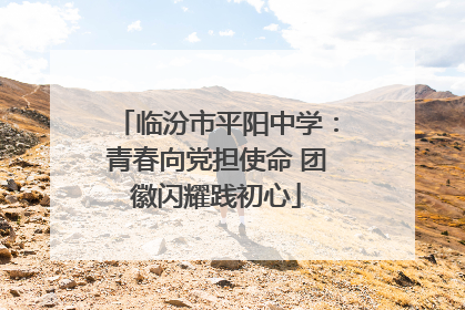 临汾市平阳中学：青春向党担使命 团徽闪耀践初心