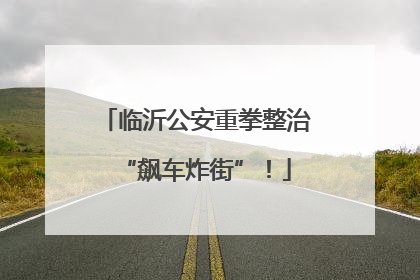 临沂公安重拳整治“飙车炸街”！