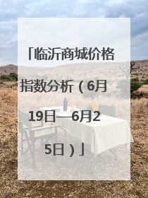 临沂商城价格指数分析（6月19日—6月25日）