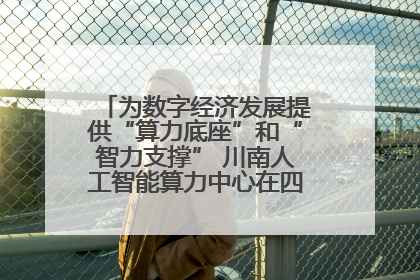 为数字经济发展提供“算力底座”和“智力支撑” 川南人工智能算力中心在四川泸州启动