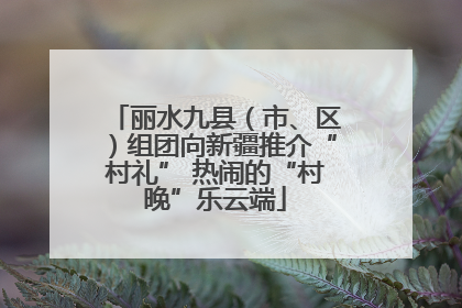 丽水九县（市、区）组团向新疆推介“村礼” 热闹的“村晚”乐云端