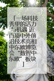 一场科技秀里的活力与机遇 近百项中外前沿技术亮相中东欧博览会“数智中东欧”板块