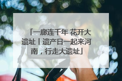 一廊连千年 花开大遗址丨遗产日一起来河南，行走大遗址