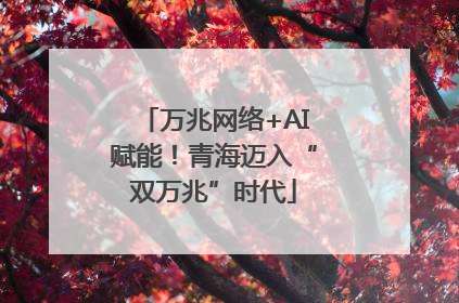 万兆网络+AI赋能！青海迈入“双万兆”时代