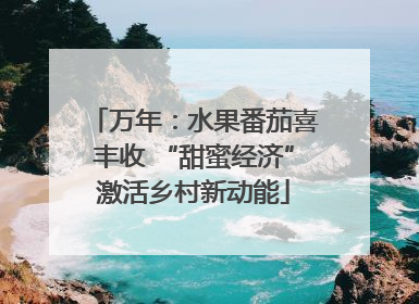 万年：水果番茄喜丰收 “甜蜜经济”激活乡村新动能