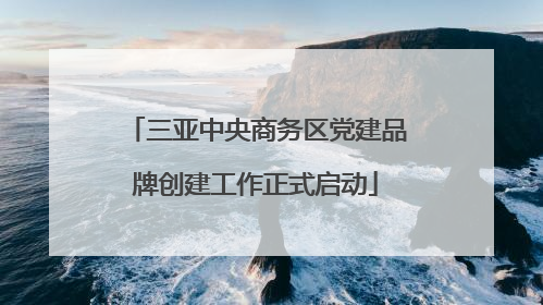 三亚中央商务区党建品牌创建工作正式启动