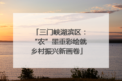 三门峡湖滨区：“农”墨重彩绘就乡村振兴新画卷