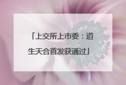 上交所上市委：道生天合首发获通过