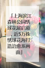 上海滨江森林公园绣球花展启幕，近5万株绣球花海打造治愈系画面