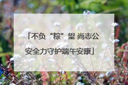 不负“粽”望 尚志公安全力守护端午安康