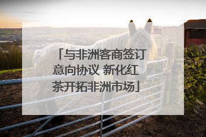 与非洲客商签订意向协议 新化红茶开拓非洲市场