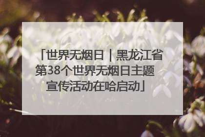世界无烟日｜黑龙江省第38个世界无烟日主题宣传活动在哈启动