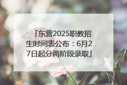 东营2025职教招生时间表公布：6月27日起分两阶段录取