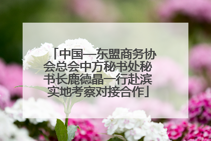 中国—东盟商务协会总会中方秘书处秘书长鹿德晶一行赴滨实地考察对接合作